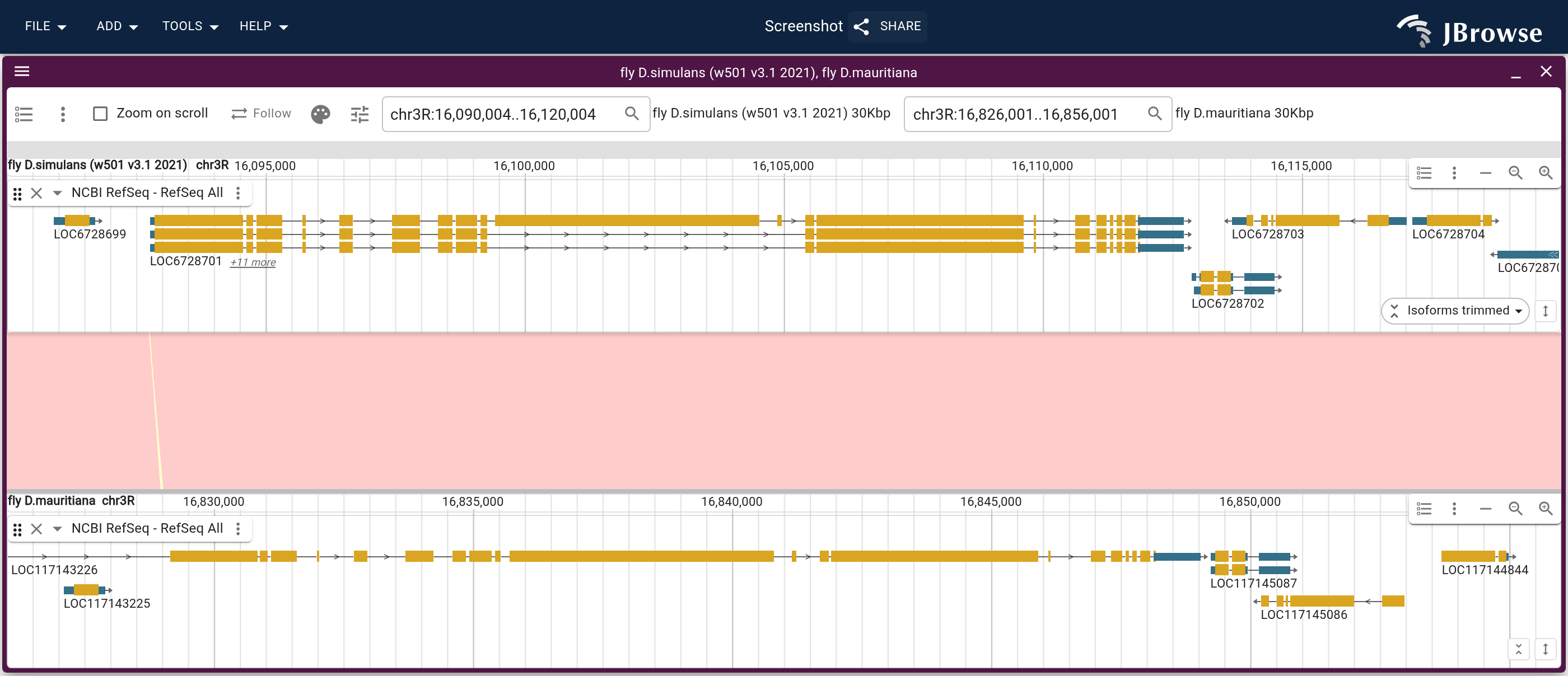 Thirty kilobases of chr3R on both genomes: NCBI RefSeq on each row, the minimap2 alignment between them, colored red where the two run in the same direction. One block spans the window, and each gene meets its counterpart exon for exon.