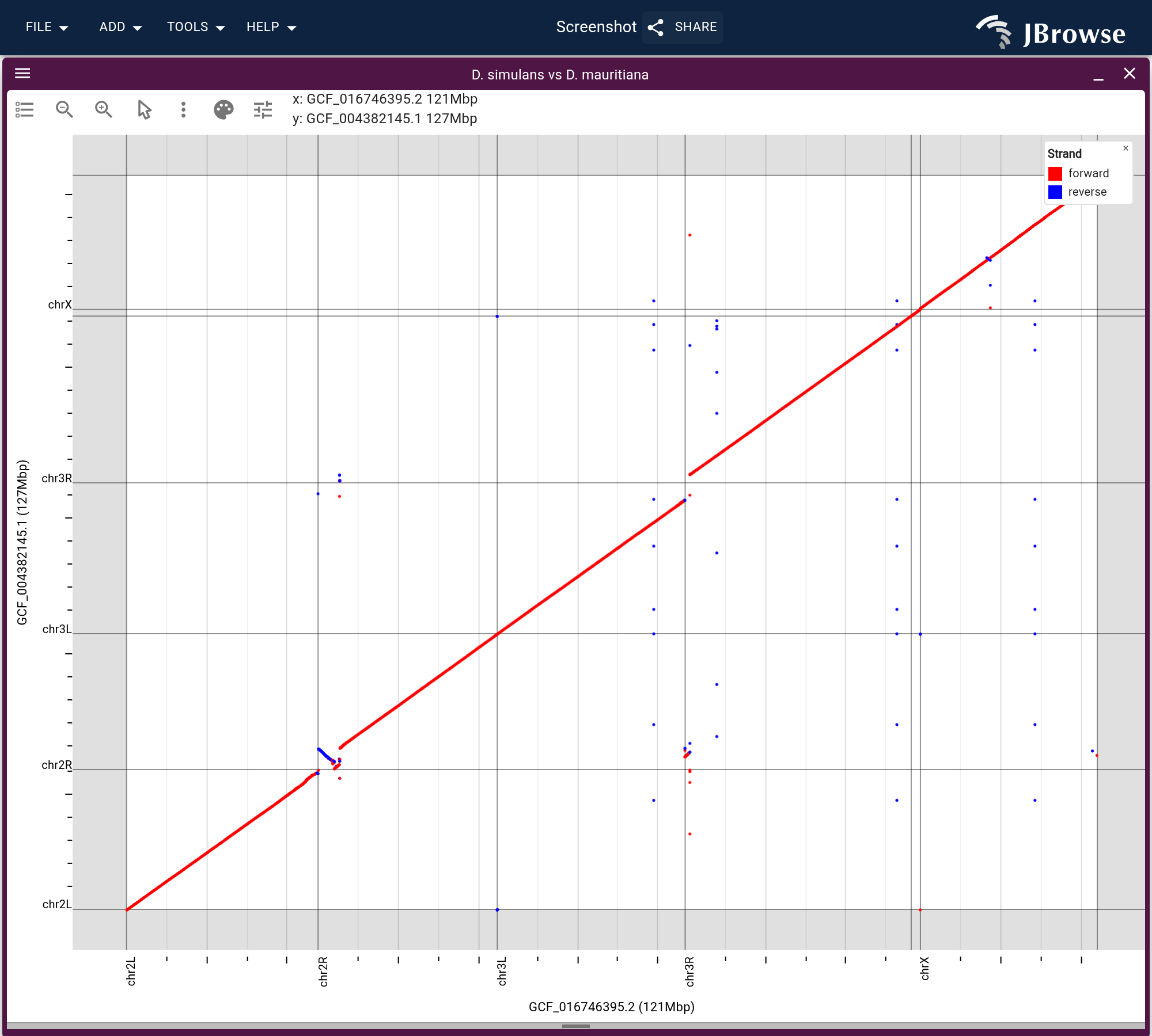 The alignment as a dotplot, both axes cut to the six chromosome arms. One forward diagonal in red, with short reverse segments in blue where chr2R begins and partway along chrX.