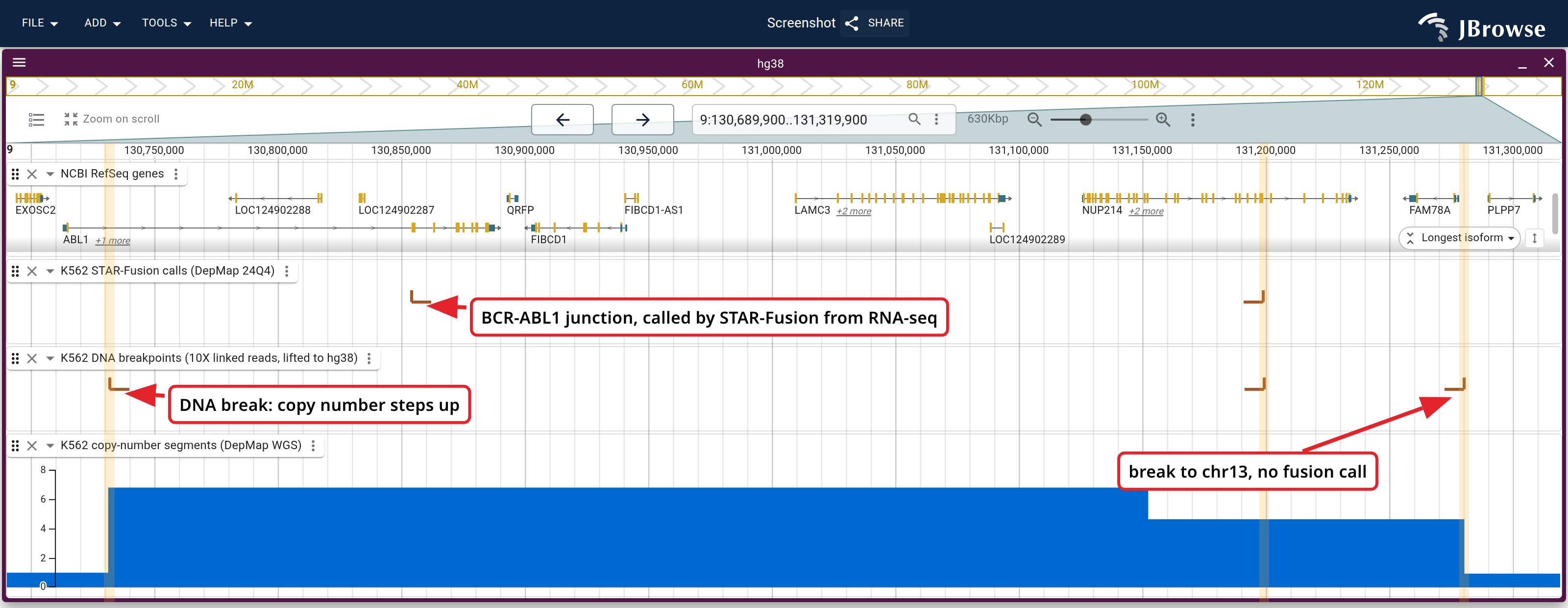 chr9 from ABL1 to past NUP214: STAR-Fusion junctions from RNA-seq, 10X DNA breakends and DepMap copy number, with the three DNA breaks banded. Copy number steps at the outer two breaks. The BCR-ABL1 junction sits well right of its break, the NUP214-XKR3 junction on top of its break, and the right-hand break reaches chr13, where nothing is transcribed.