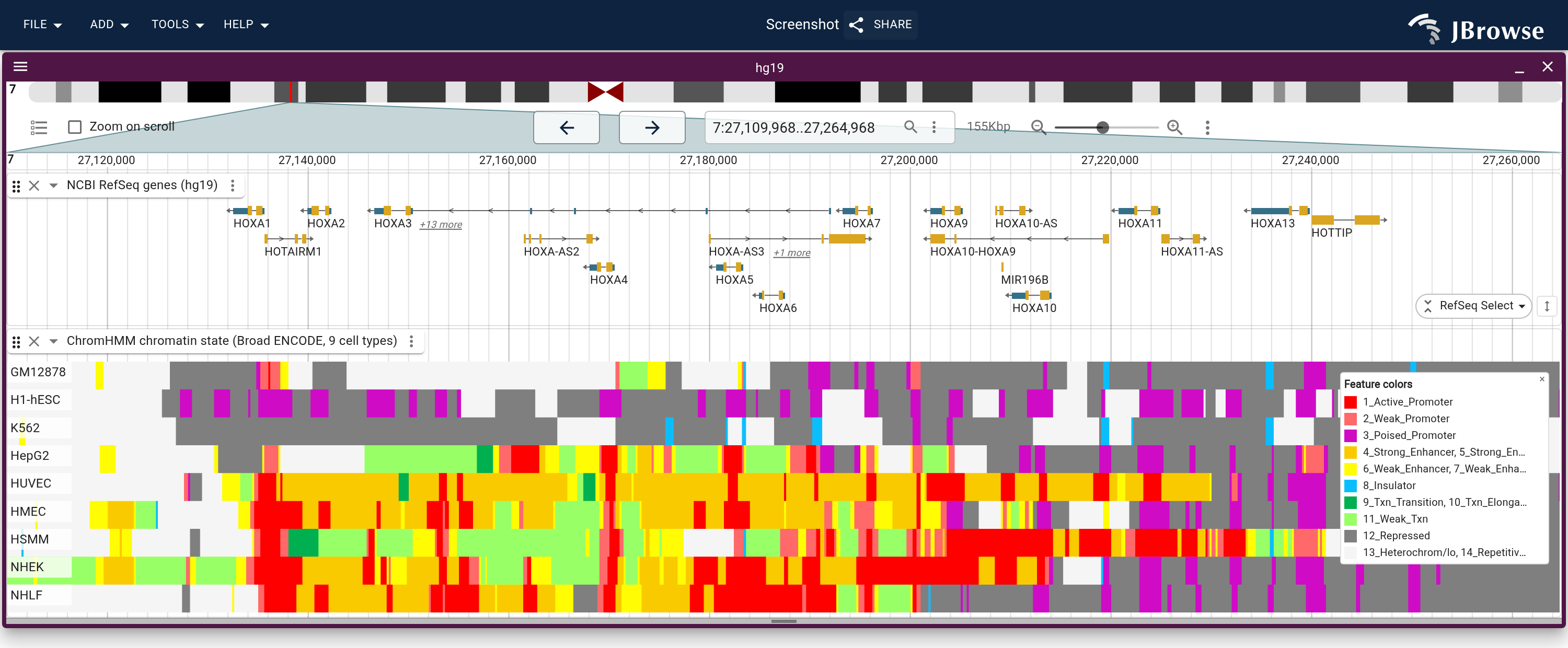 The nine ENCODE cell types over HOXA, one row each in ENCODE's tier order, under the RefSeq genes. HUVEC, HSMM and NHEK are active into the posterior genes, NHLF stops at HOXA7 and HMEC fades past it, the blood lines GM12878 and K562 are repressed across the cluster, and H1-hESC is poised.