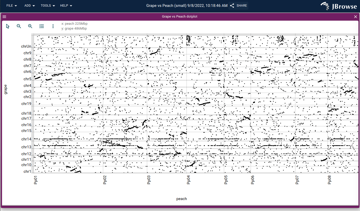 Screenshot of a dotplot visualization of the grape vs the peach genome.