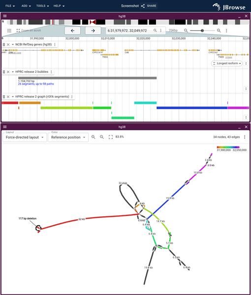 HPRC pangenome locus as a graph