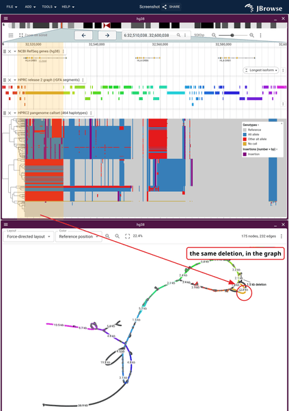 HPRC graph beside its callset