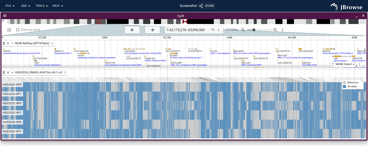 1000 Genomes phased trio matrix