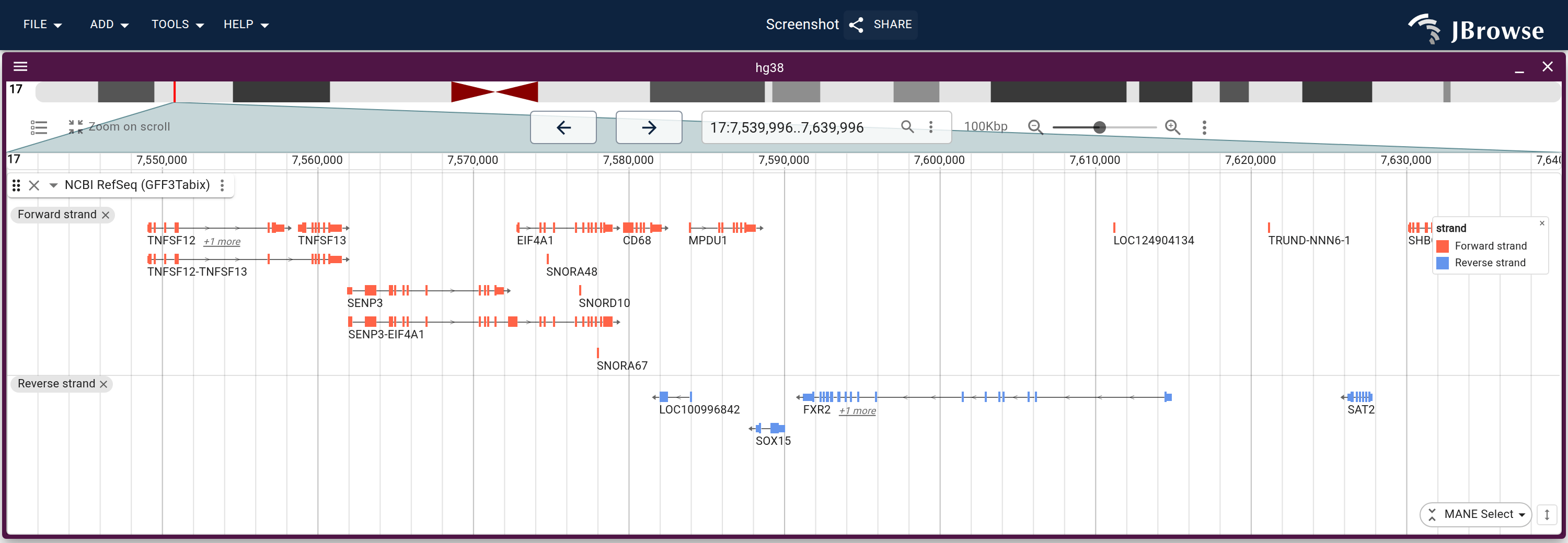 NCBI RefSeq genes on hg38 grouped and colored by strand, one representative transcript per gene. The forward-strand section stacks above the reverse-strand one, each under its chip and in its strand's color.