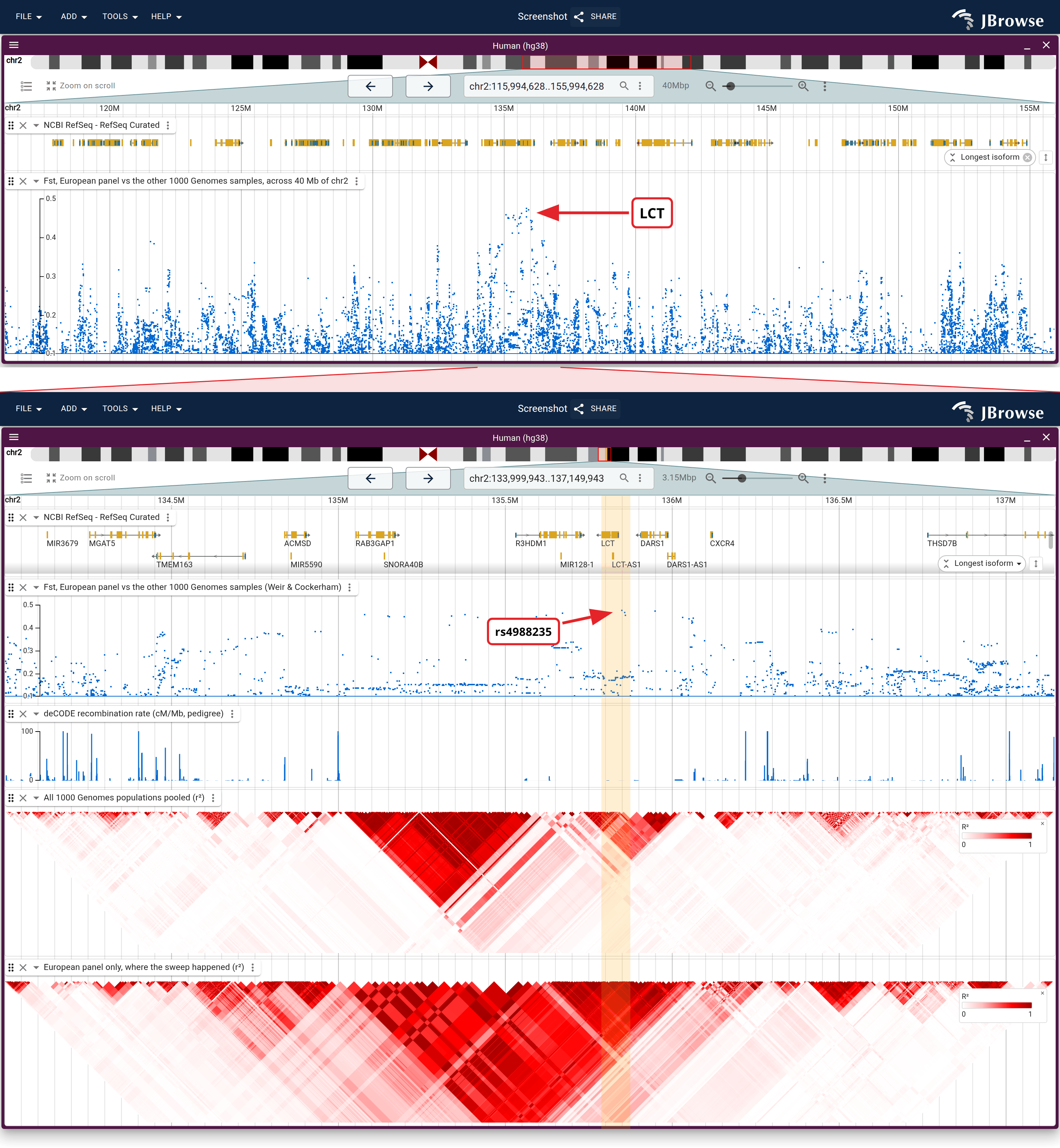 Top, RefSeq genes and Weir and Cockerham Fst per variant across a wide span of chr2. Under the wedge, the same locus and allele-frequency floor twice, differing only in which samples went in, over that Fst lane at its own scale and the deCODE genetic map.