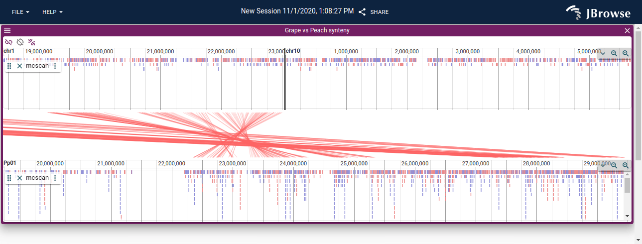 Screenshot showing the linear synteny view for the grape vs peach genome.