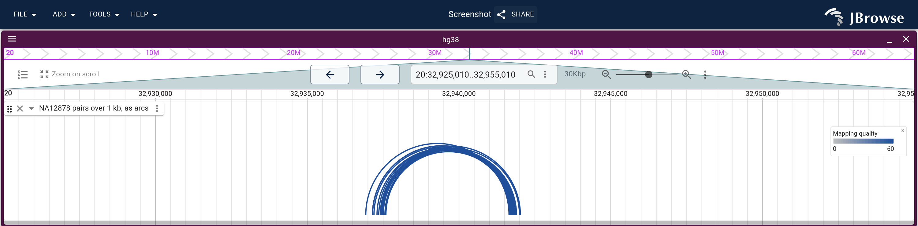 The pairs across a deletion on chromosome 20, each an arc from its leftmost read to the end of its insert, stroked by its mapping quality.