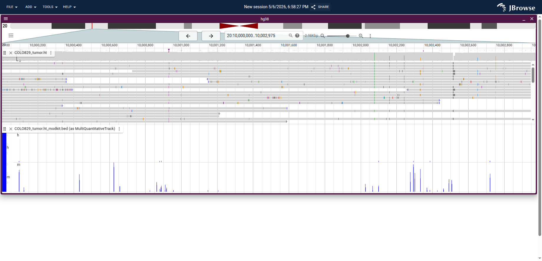 COLO829 tumor ONT alignments (top) with per-read modification coloring, alongside the modkit bedMethyl MultiQuantitativeTrack (bottom) showing 5hmC ('h') and 5mC ('m') methylation fractions at individual CpG positions.