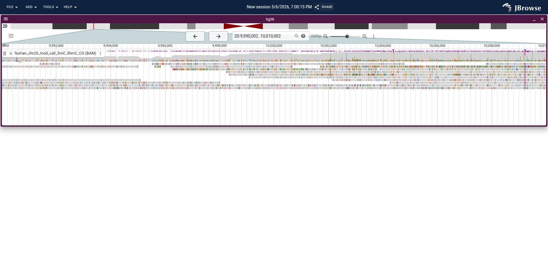 Per-read 5mC and 5hmC coloring on a chr20 Nanopore BAM. Each colored mark on a read represents a modified cytosine; unmodified sites appear as the background grey read color.