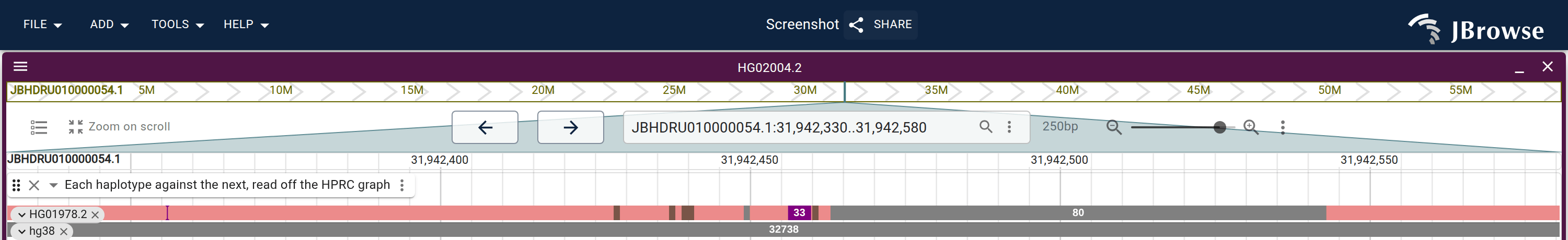 The synteny track in HG02004.2's own view, inside the module GRCh38 lacks. The HG01978.2 row marks each substituted base, insertion and deletion; the hg38 row is one deletion across the whole window.