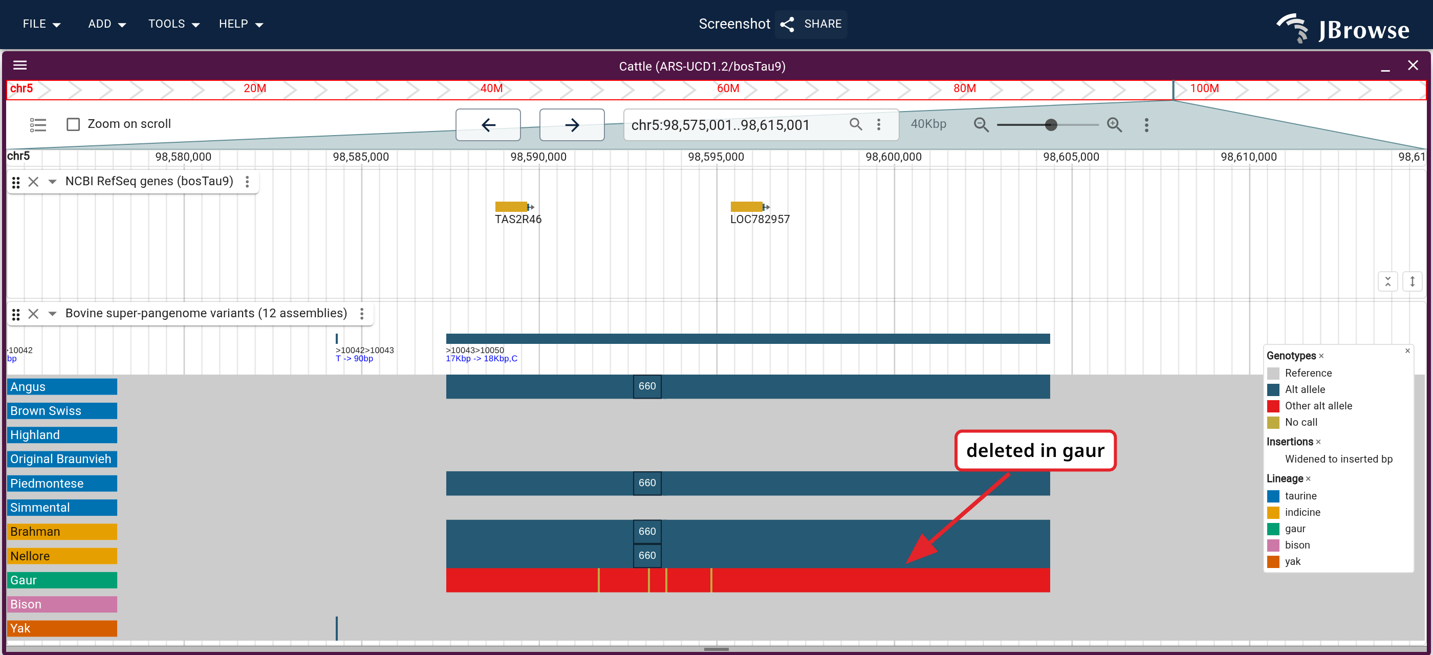 TAS2R46 on ARS-UCD1.2: RefSeq genes and the callset, whose variant lane draws the record over the deleted span and names its alleles. The gaur row has the deletion, and four cattle rows have a different allele across the same span.
