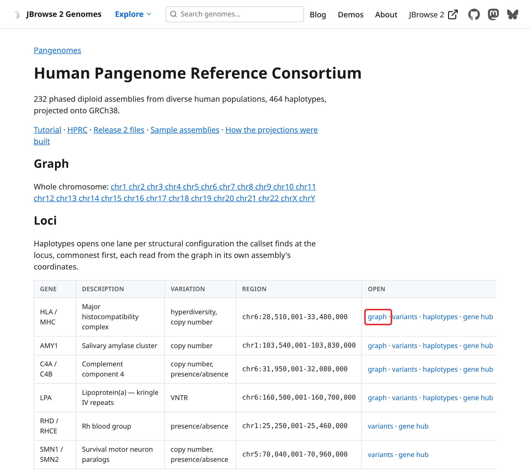 The HPRC page: the whole-chromosome links, then the head of the locus table, where each row ends in its launches. The RHD / RHCE and SMN1 / SMN2 rows open only the callset and the gene hub. The boxed link is the graph launch the next section follows.