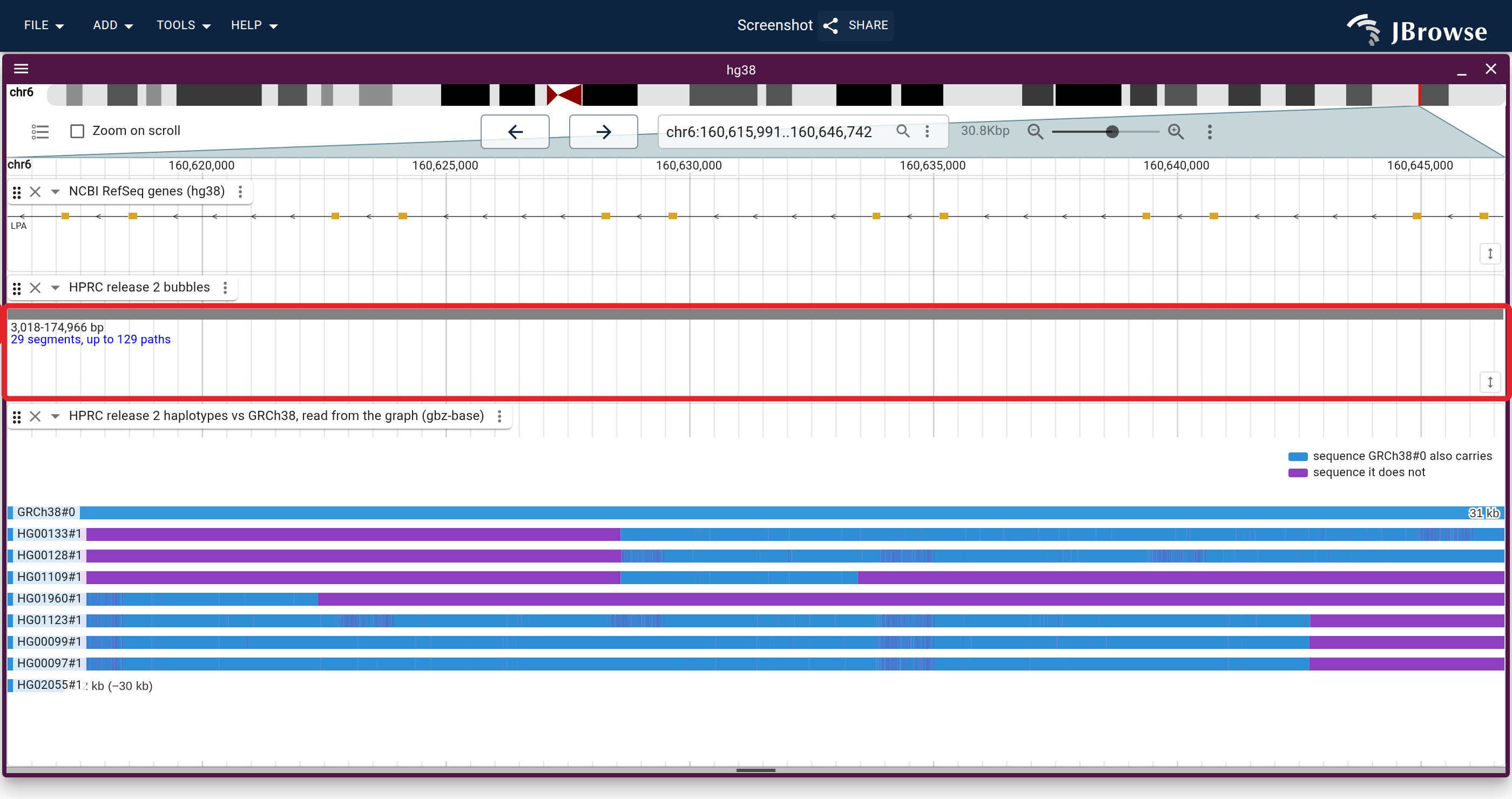 The eight-haplotype KIV-2 cut in walk rows, one bar per haplotype under GRCh38's, longest first, under LPA with the KIV-2 bubble boxed in the bubbles lane. The purple stretch of each bar is kringle copies GRCh38 does not carry, and each readout gives the walk's length and its excess over GRCh38.