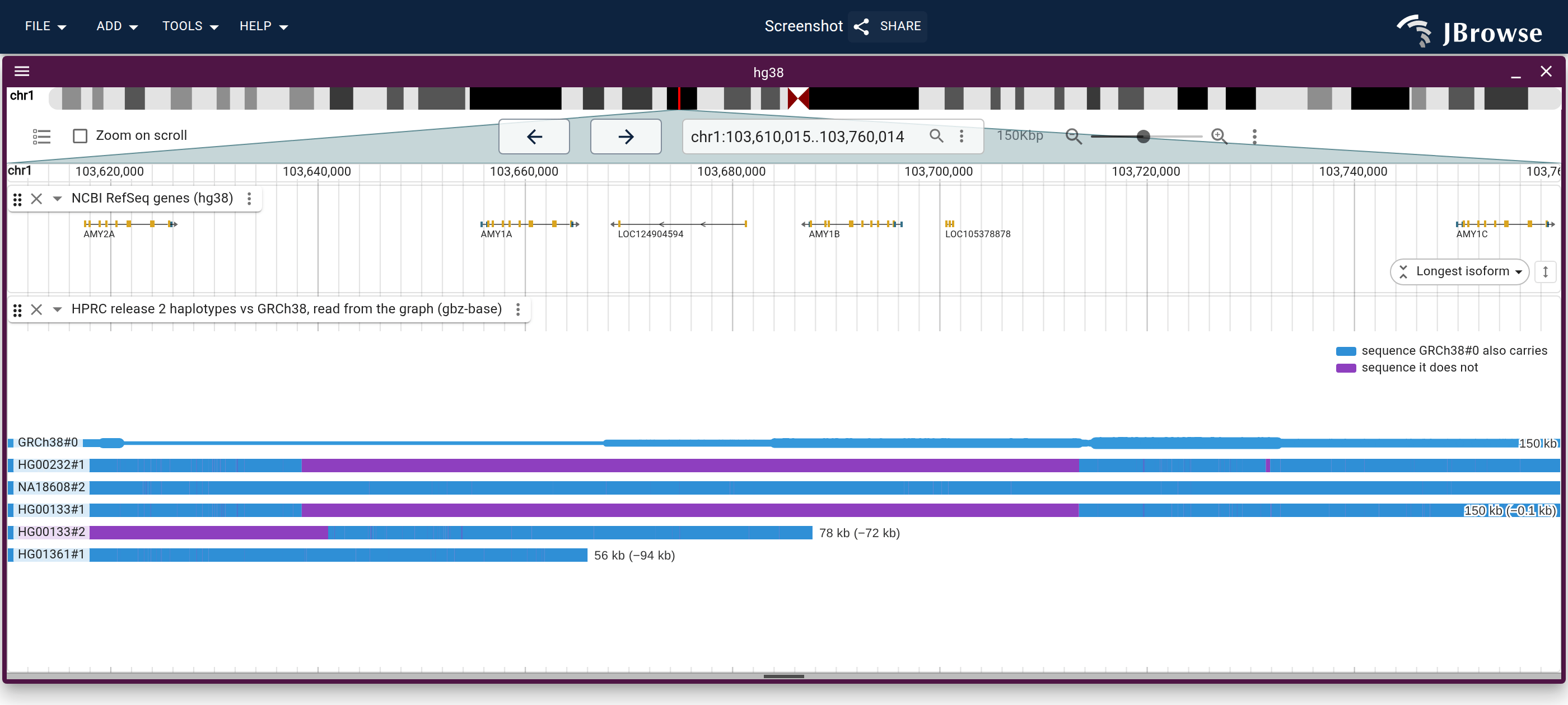 The five haplotypes' walks across the amylase array in walk rows, longest first, under GRCh38's bar, blue where GRCh38 carries the same sequence and purple where it does not. Each readout gives the walk's length and its excess over GRCh38.