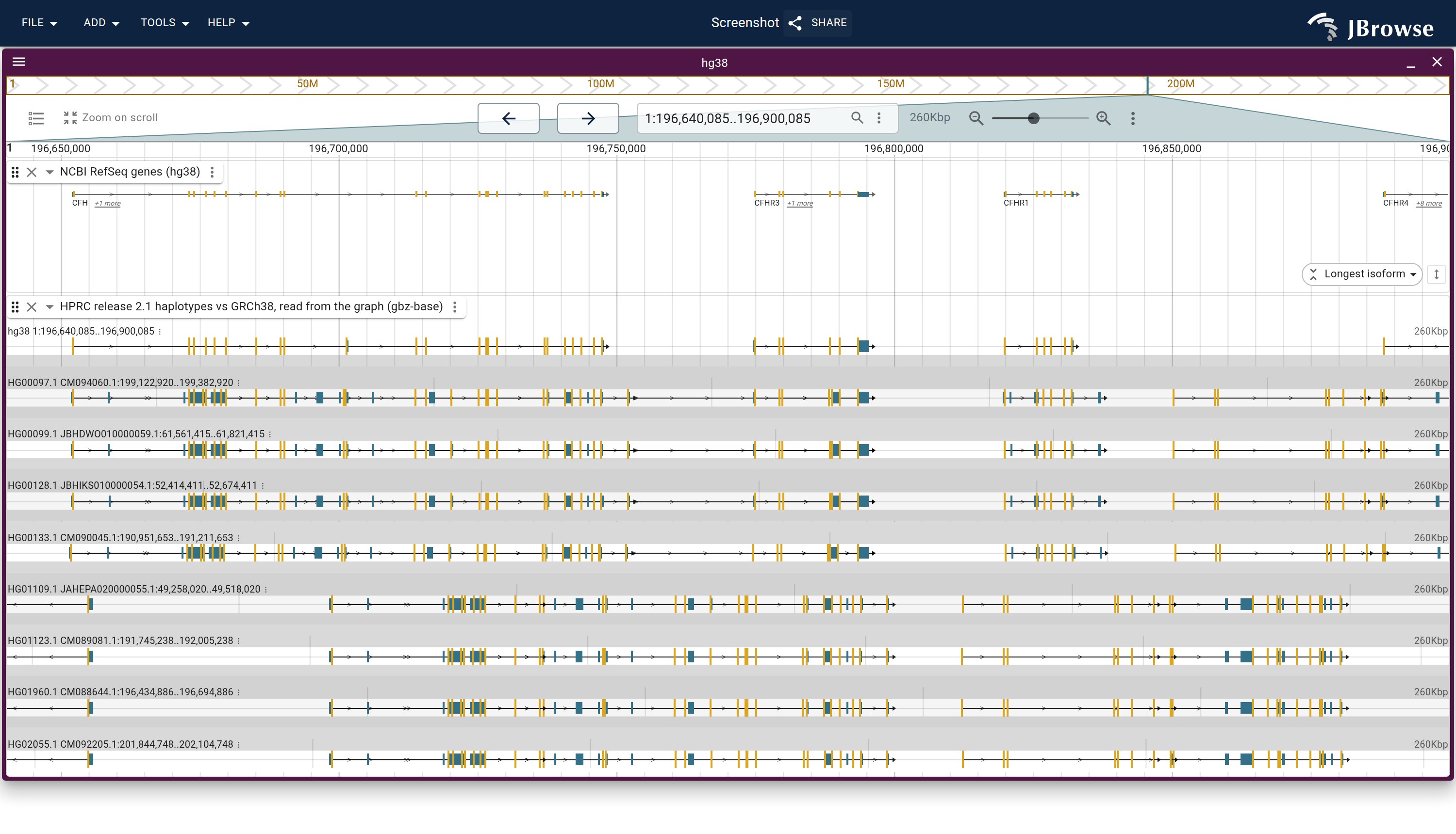 The CFH cluster's eight lanes read from the graph at load time, the non-carriers above the carriers, from two hosted files and no offline step. Each lane is one haplotype's walk aligned to hg38 as a CIGAR, and because the eight assemblies are in the session, each draws that haplotype's own CAT genes at its own coordinates over it: a lane whose genes stop where hg38's CFHR3 and CFHR1 are is a haplotype that lacks them.