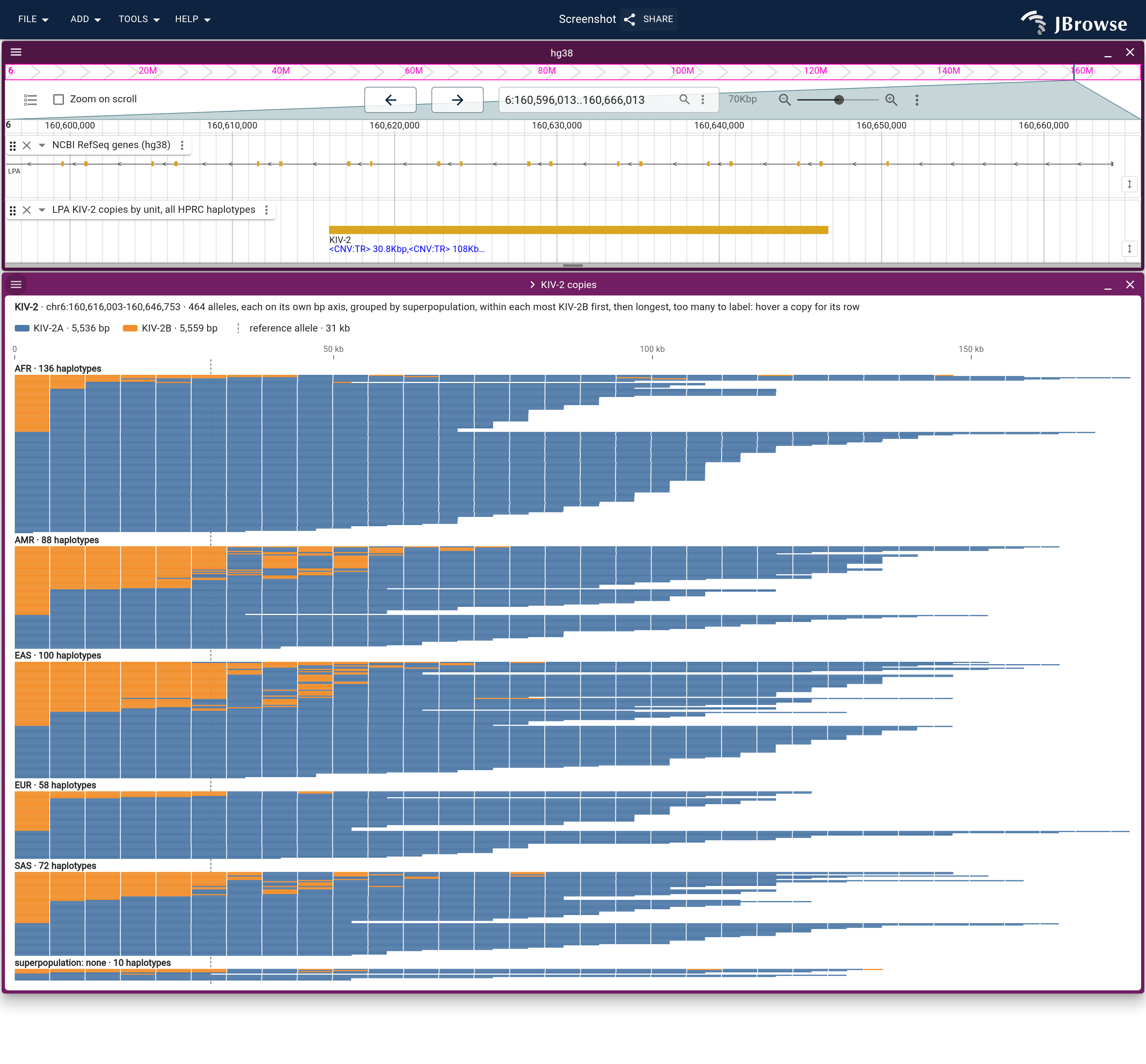 The KIV-2 record over every HPRC haplotype grouped by superpopulation, within each group those with the most KIV-2B copies first, then longest, each copy colored by its type. KIV-2B leads every array that holds it. Arrays opening with a block of KIV-2B copies gather in the AMR, EAS and SAS sections; in EUR, KIV-2B is mostly a single opening copy, and most AFR arrays hold none.