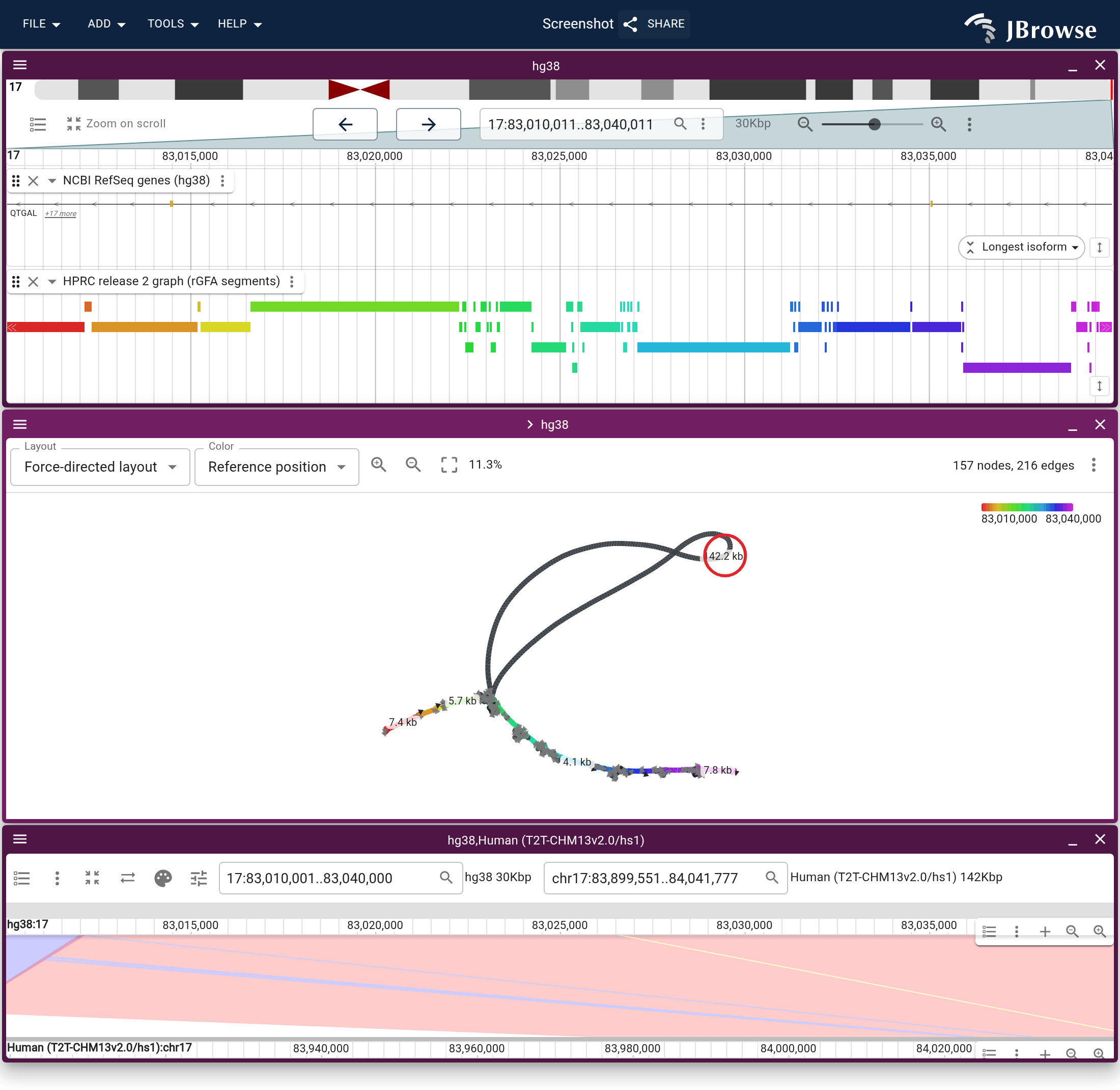 The graph's own Launch menu at the CHM13 window, with hg38 and hs1 loaded and the liftOver between them in the session. Above, the hg38 window and the cut, the CHM13 node ringed. Below, the synteny view the Linear synteny view entry opened: hg38 over hs1, each panel framed on the locus the graph states for it, with the liftOver ribbons between.