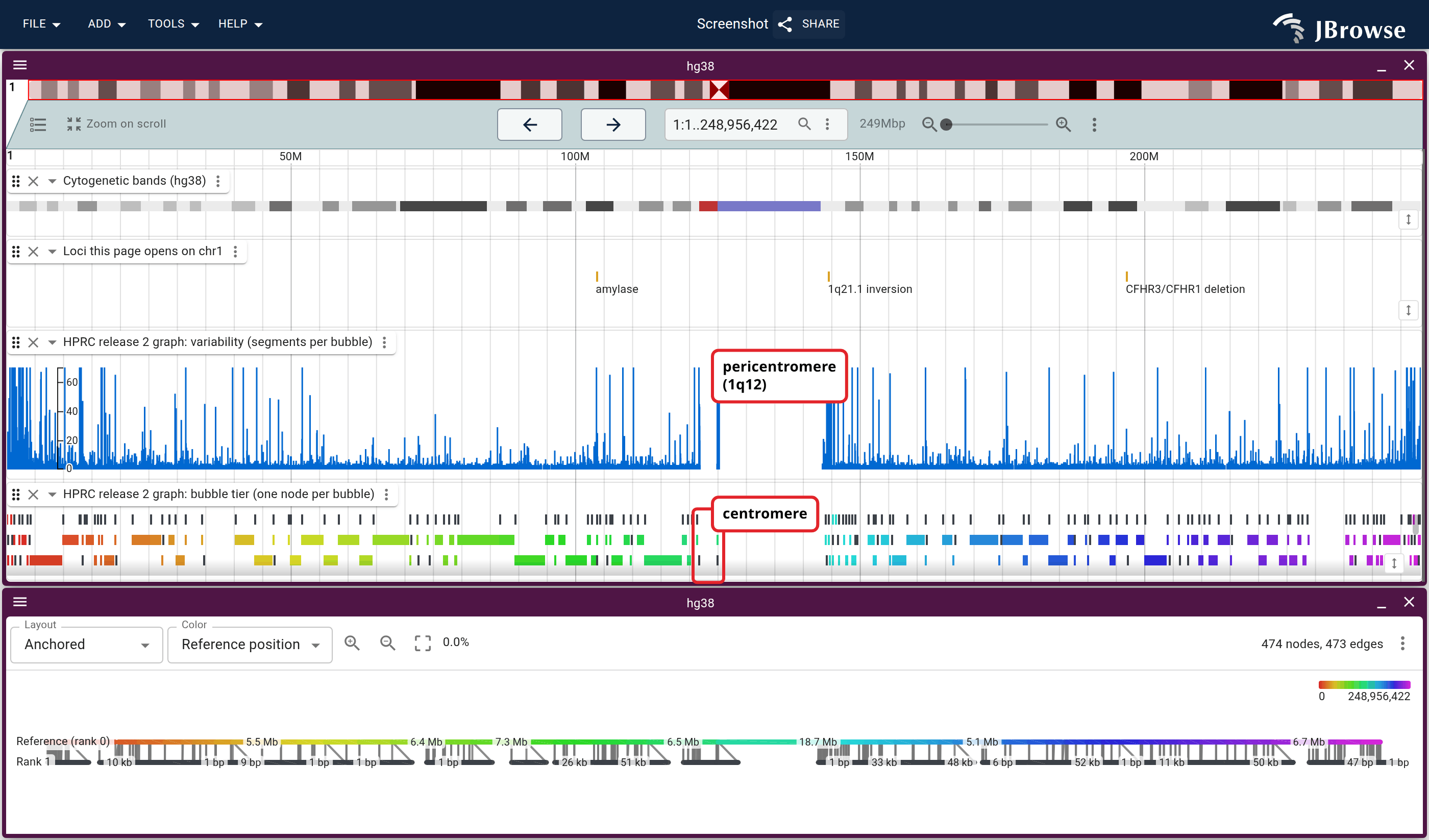 All 249 Mb of GRCh38 chr1 with the cytogenetic bands on the same axis, then the three chr1 loci this page opens, then three lanes off two files: the bubble file as a curve of segments per bubble, the same bubbles as the tier's segments lane, and the tier as a graph. The blank column is 1q12, where nothing aligns.