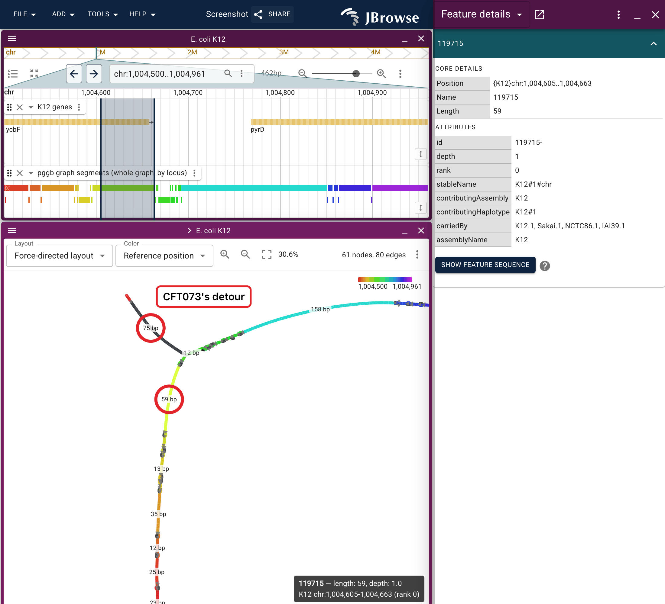 A backbone segment clicked in the graph. carriedBy names the four strains whose paths walk it; contributingAssembly says only K12, which is all an rGFA could report.