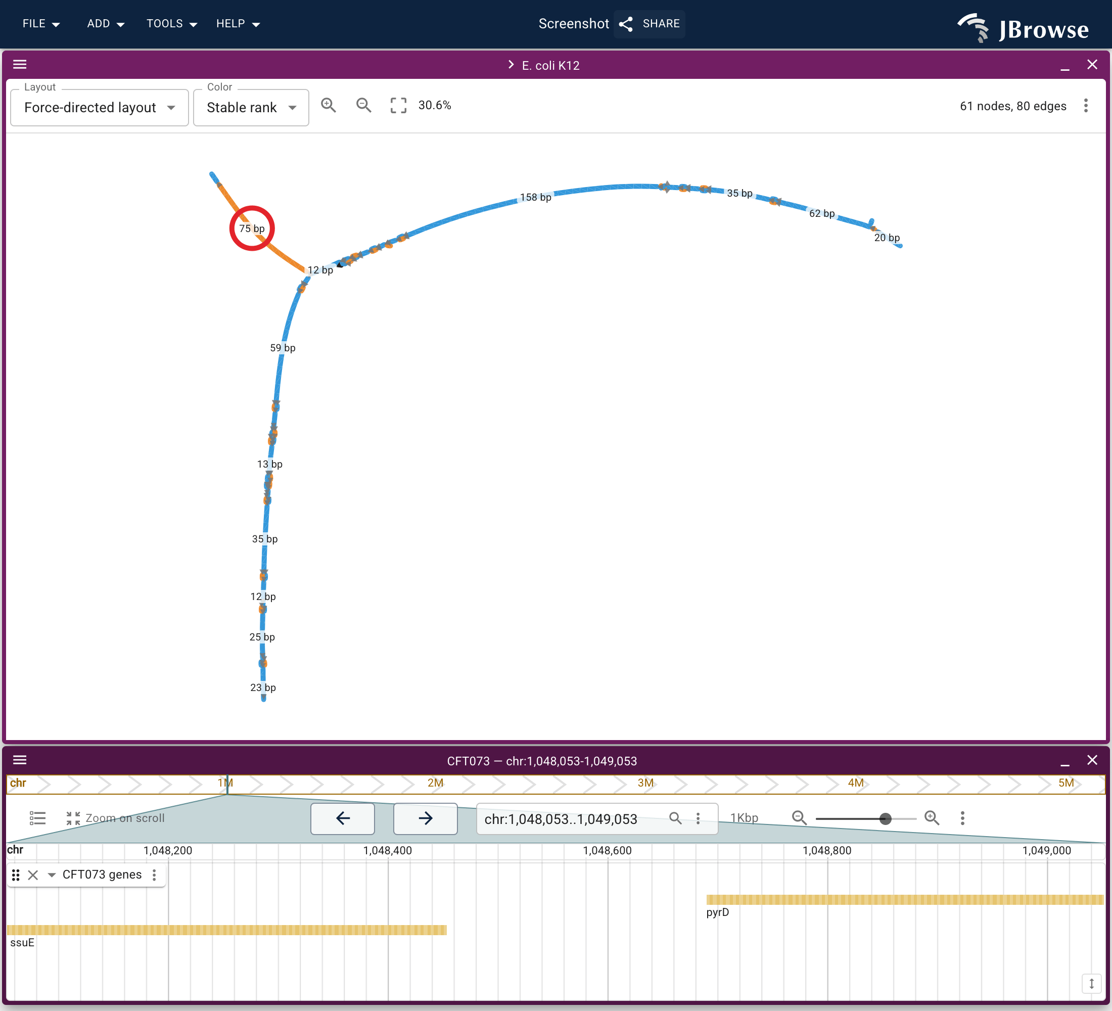 The 75 bp CFT073 segment ringed in the graph, and the linear view its menu entry opens: CFT073 on its own coordinates, where ssuE runs into pyrD with nothing between them.
