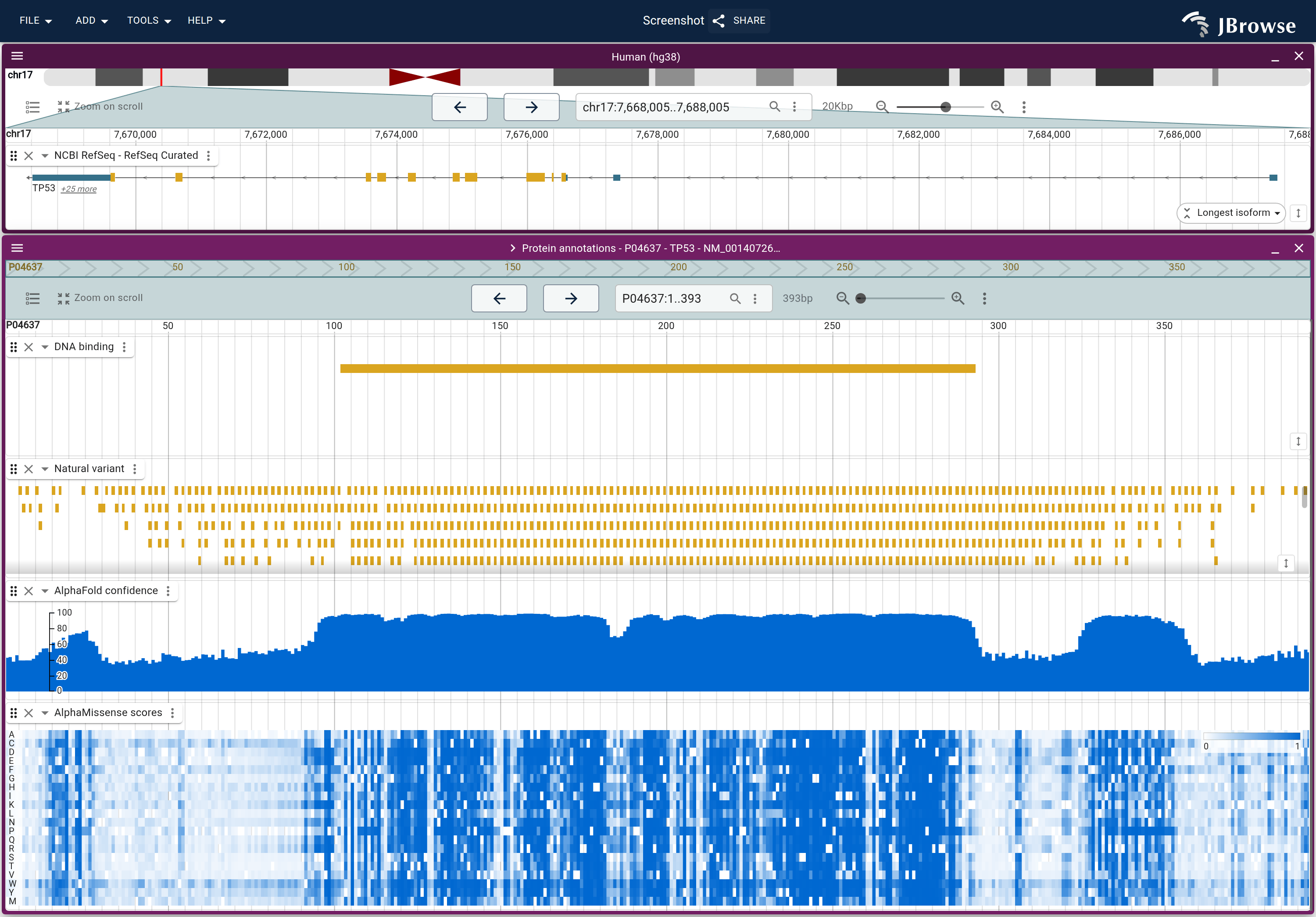 TP53 on hg38 above the 1D protein view its gene menu launched, with four of the session tracks turned on: the DNA binding call, UniProt natural variants, AlphaFold pLDDT and AlphaMissense substitution scores, all in residue coordinates. Confidence and variant density both fall away over the terminal tails.