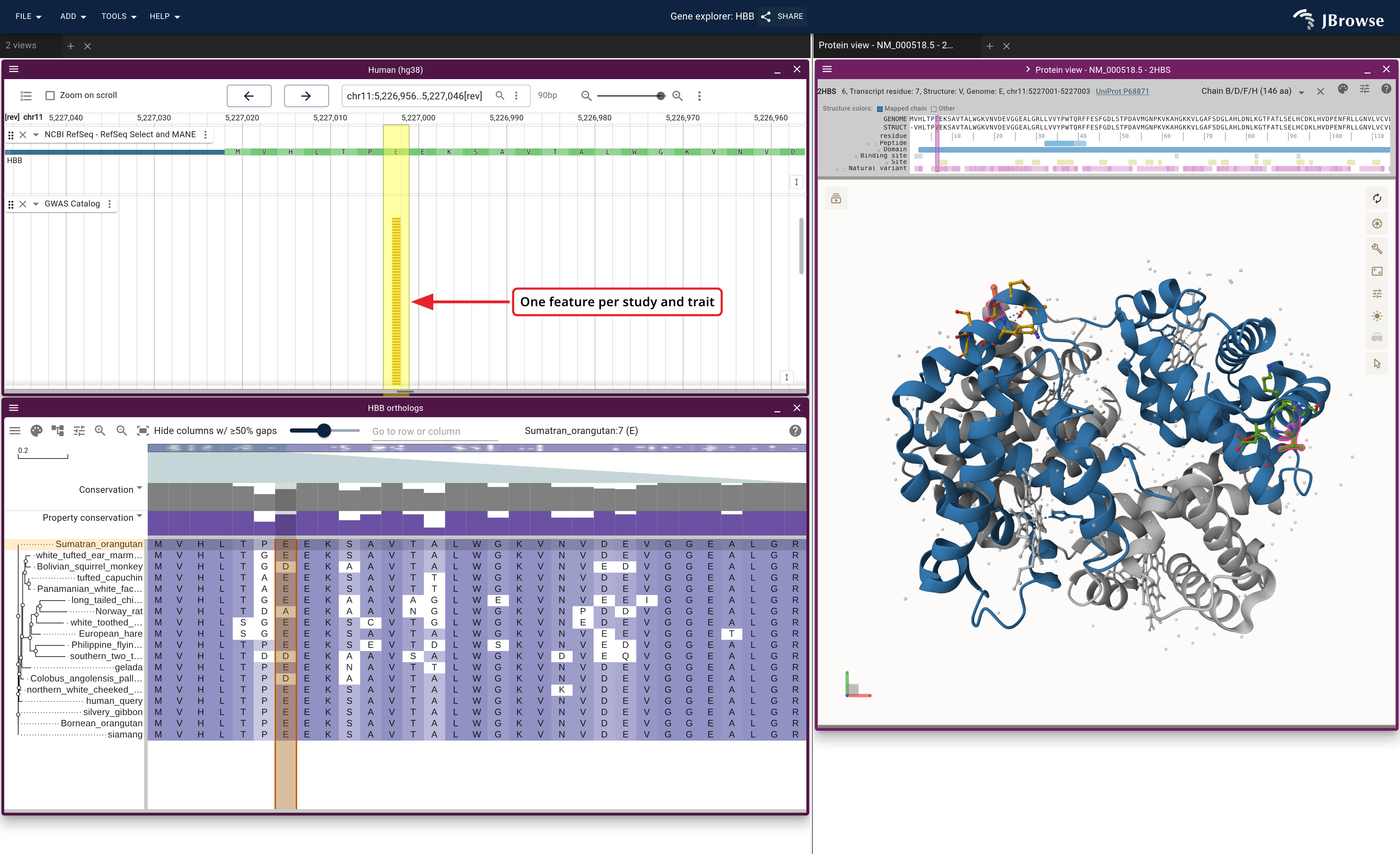 The GWAS Catalog under HBB.