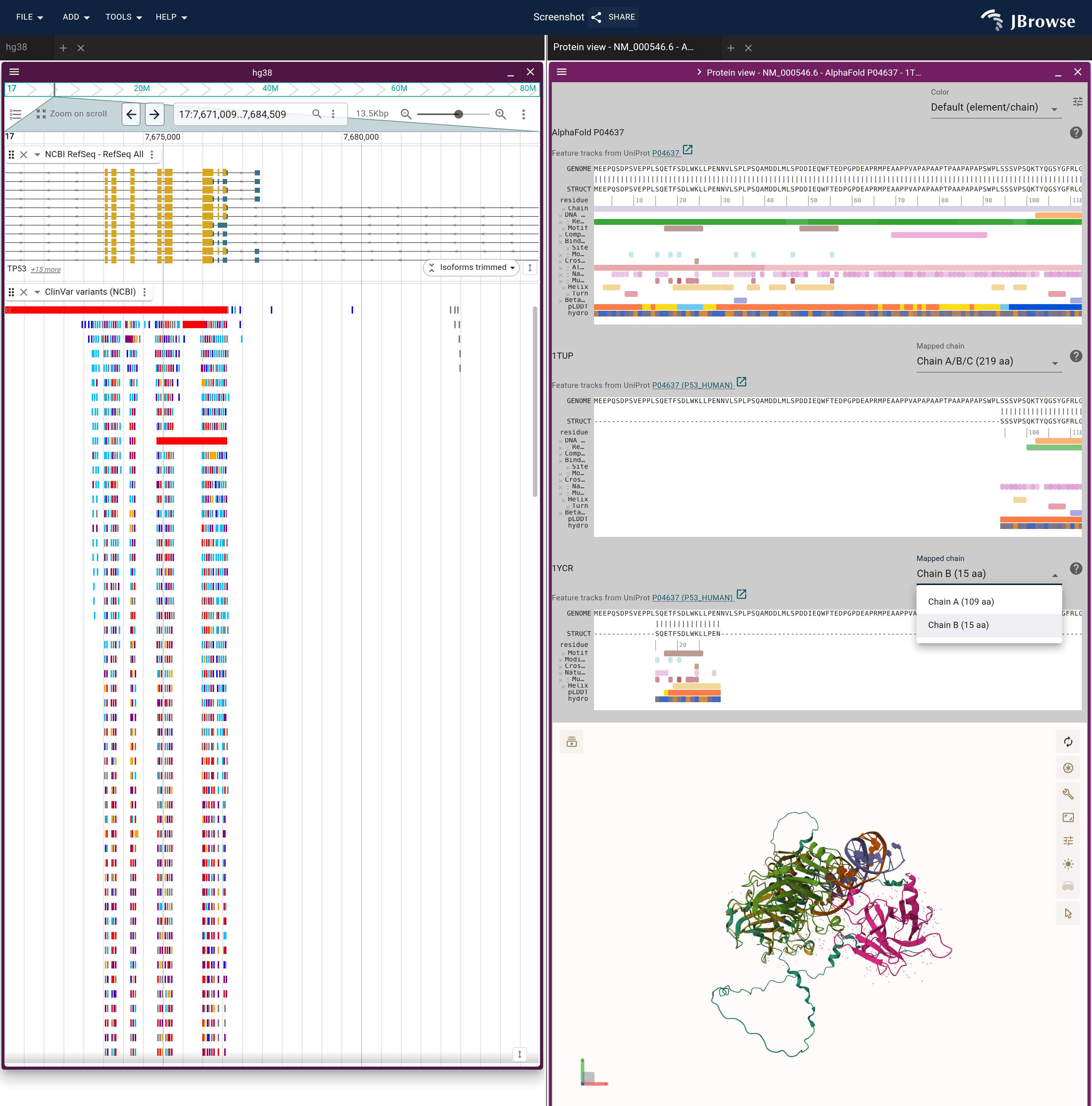 1YCR's Mapped chain picker open. The p53 peptide, Chain B, is the mapped one; Chain A is MDM2.