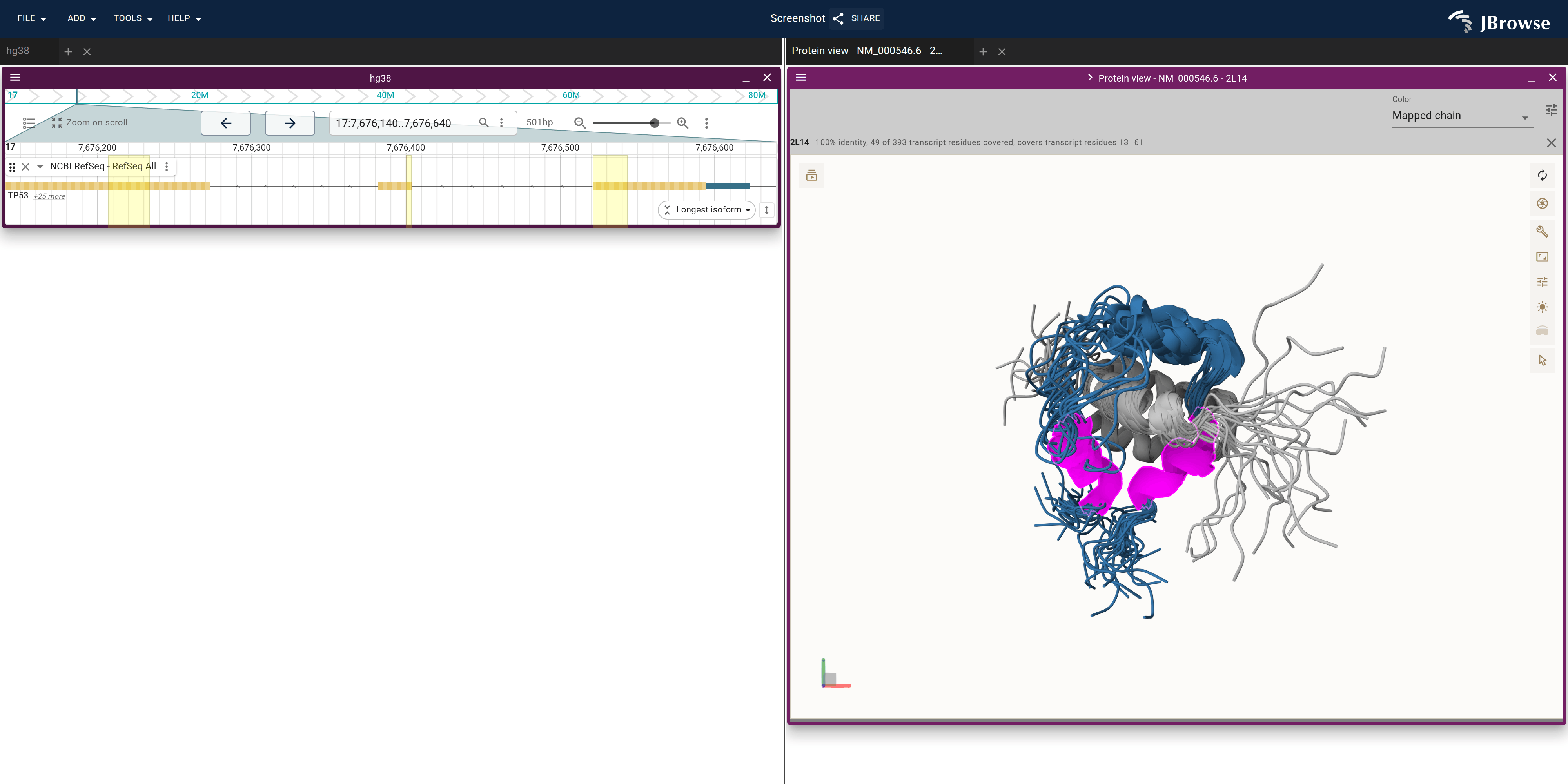 NCBI RefSeq over TP53's first coding exons beside every model of 2L14. The p53 chain is blue on grey CBP with its two helices in magenta; the helices overlap from model to model, the linker leaving the first one spreads, and bands on the gene mark the helices' codons.