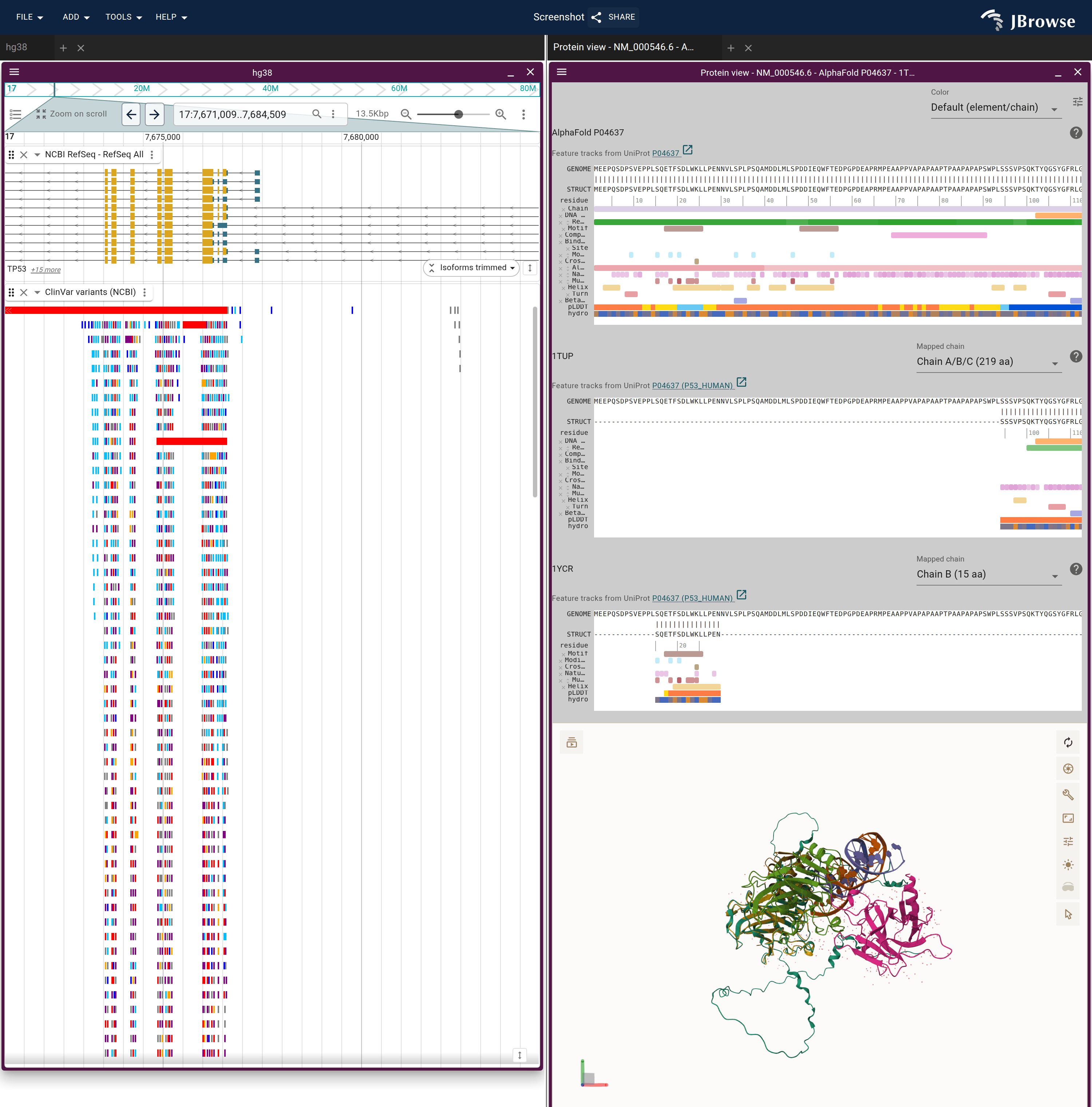 TP53 on hg38 with NCBI RefSeq and ClinVar beside a protein view holding the AlphaFold model, 1TUP and 1YCR. Each structure has its own alignment panel over the shared Mol* canvas, where the two crystal fragments sit on the model's core and the model's tails run on past them.