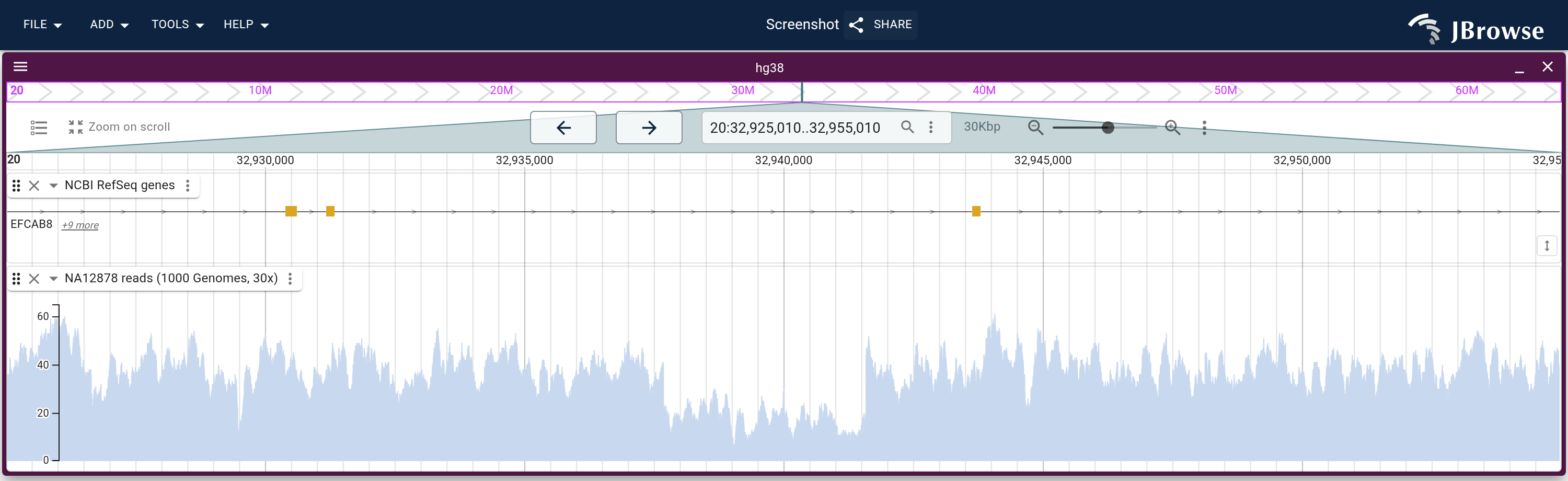 Thirty kilobases of an EFCAB8 intron in NA12878, the read depth as bars. Between 32,937,500 and 32,941,500 the depth runs at about half of what it is on either side.