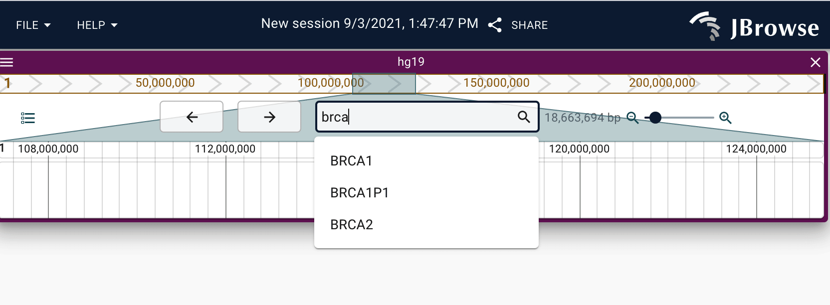 When configured, you can search for gene names or other features via the location search box.