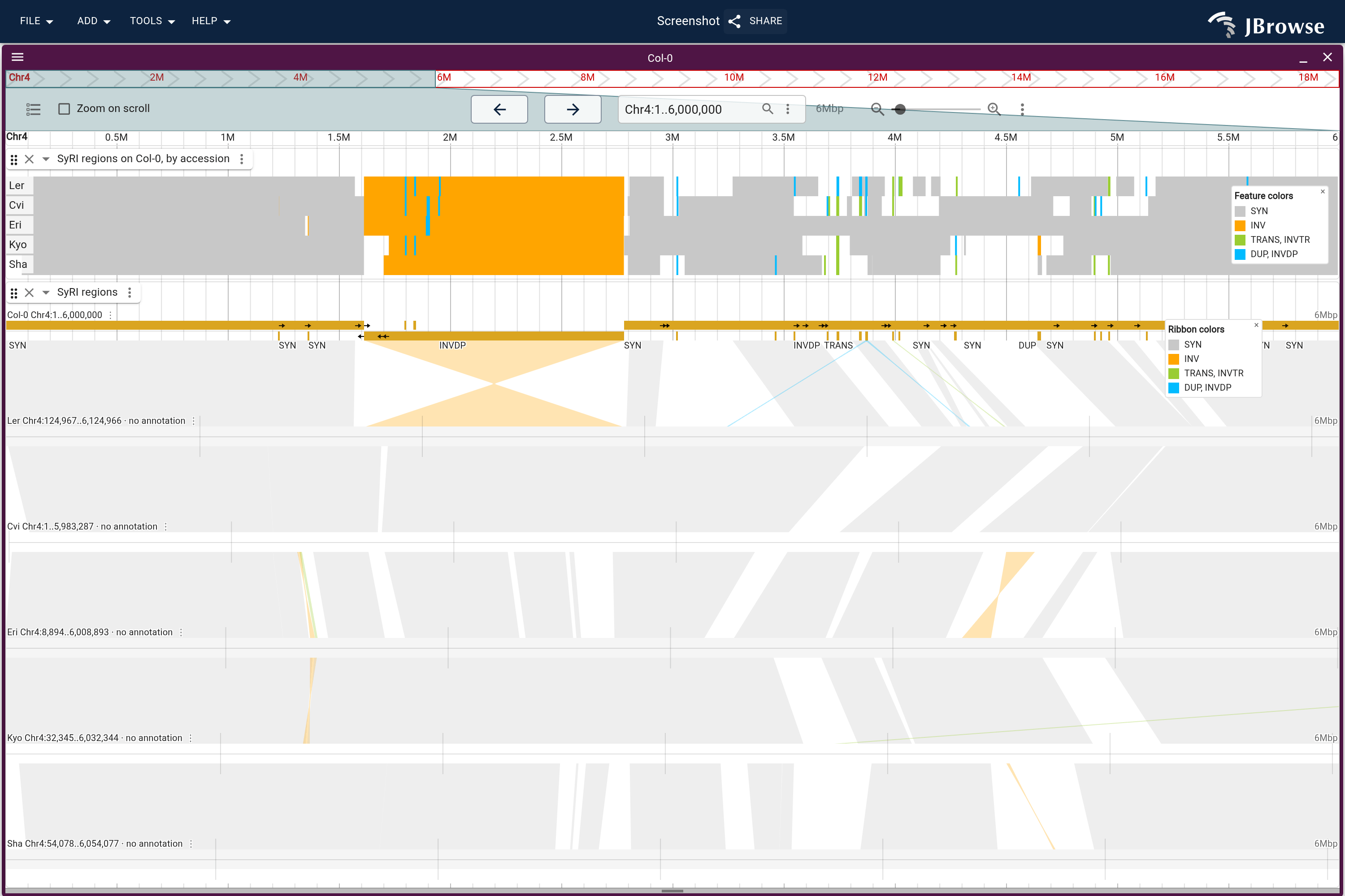 Col-0 chromosome 4 with one row of SyRI regions per accession above, and the accessions as lanes in their own assembly coordinates below, each band colored by the SyRI type between the two genomes it joins. Every accession is inverted against Col-0 across the same stretch, and the bands between accessions run straight there.