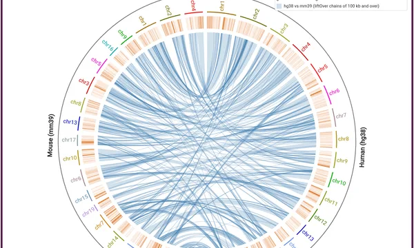 Preview of Synteny on a circle (human and mouse)