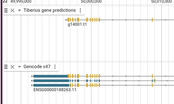 Preview of Reviewing a gene prediction (Tiberius)