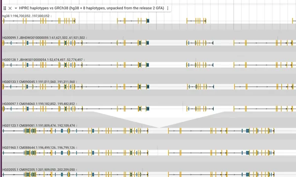 Preview of Synteny from a pangenome graph (eight HPRC haplotypes)