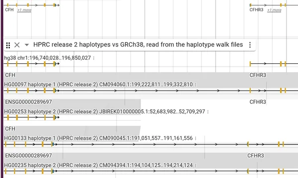 Preview of Pangenome (HPRC) part 2: haplotypes against each other