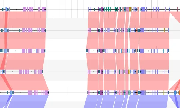 Preview of Synteny from gene symbols (eight primates)