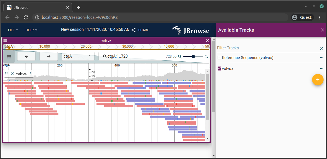 JBrowse 2 linear genome view with alignments track