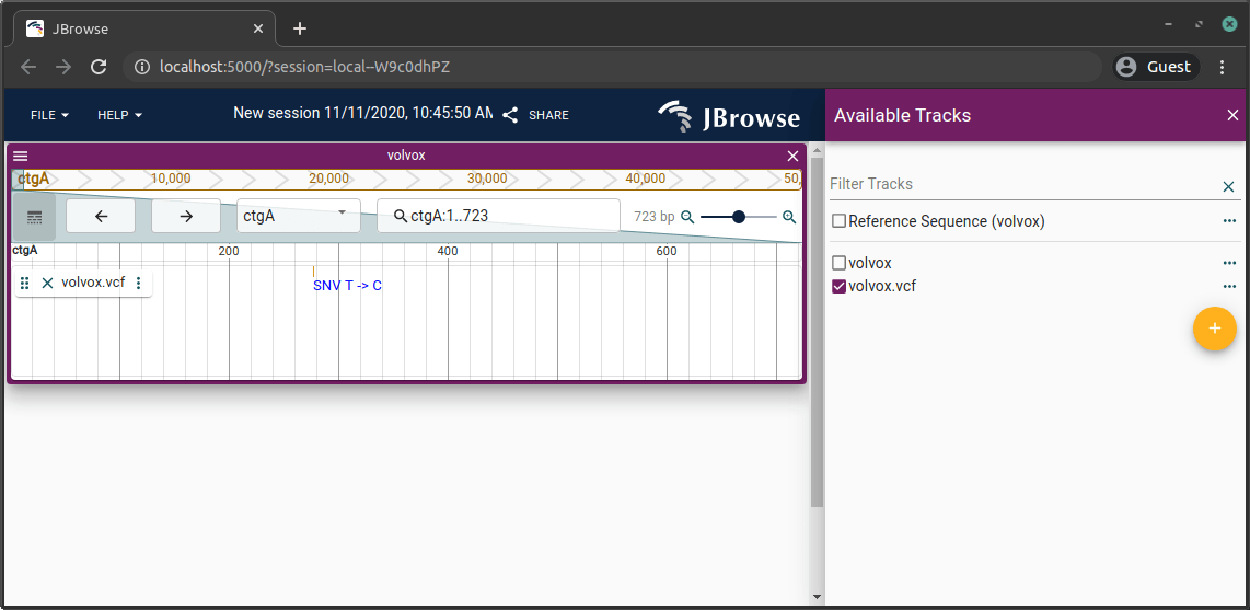 JBrowse 2 linear genome view with variant track